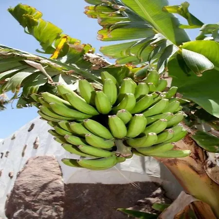 Willa Playa Blanca Sleeps 6 Pool Wifi Playa Blanca (Lanzarote)