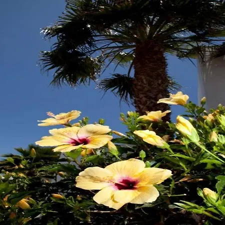 Playa Blanca Sleeps 6 Pool Wifi Willa Playa Blanca (Lanzarote)
